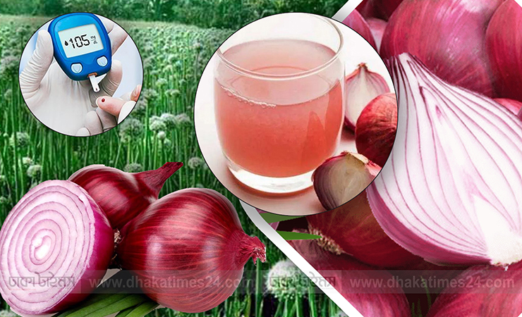 পেঁয়াজ সালাদ