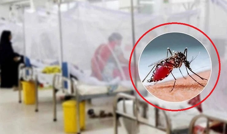 4 personas más murieron por dengue, 1306 infectados