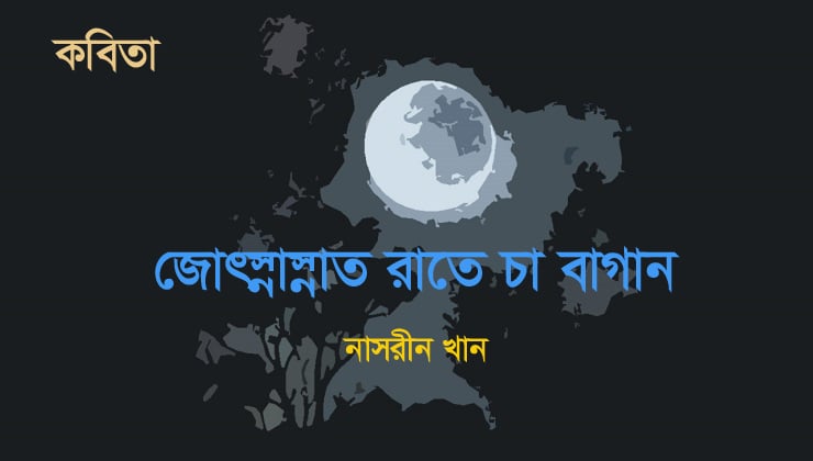 জোৎস্নাস্নাত রাতে চা বাগান